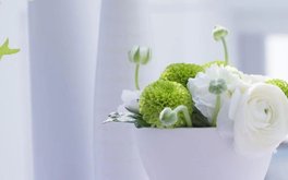 超越压力焦虑测试