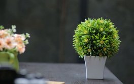 优秀负担焦虑测试