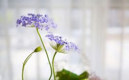 存在感焦虑测试