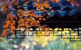 安全感缺失焦虑测试
