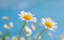 暧昧界限模糊度测试