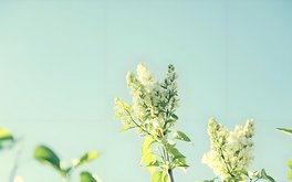 离婚崩溃程度测试