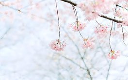 交友自我价值感测试