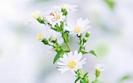 长期愧疚抑郁测试