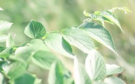 孩子阅读兴趣与能力测试
