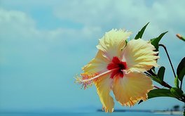 交友内在丰盈度测试