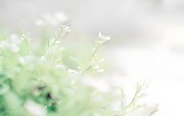 交友独处舒适度测试