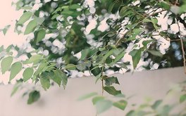 交友从众压力承受度测试
