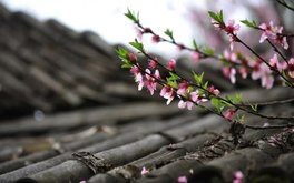 热恋黏人程度测试：恋爱中你是胶水型恋人吗？