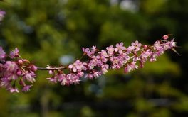 生活焦虑深度测试