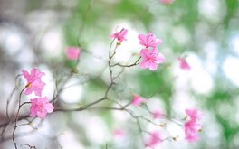热恋生活影响度测试