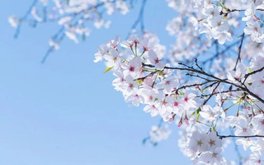 交友“说不”的心理负担测试