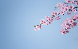 心理崩溃预警深度测试