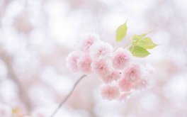 外貌焦虑程度测试