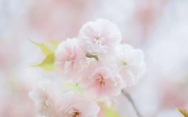 交友“被冷落”的归因方式测试