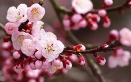 矛盾原谅难度测试