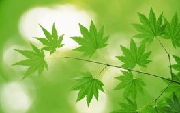 陌生人群焦虑测试