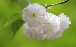 感情信任破损度测试