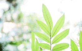 暗恋隐藏情绪深度测试：你把喜欢藏得多深