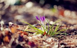 暧昧患得患失程度测试