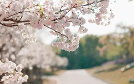 寄养家庭安全感测试：你在新家心里踏实吗